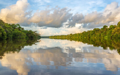🌿Manu VS Tambopata : What’s the real difference?