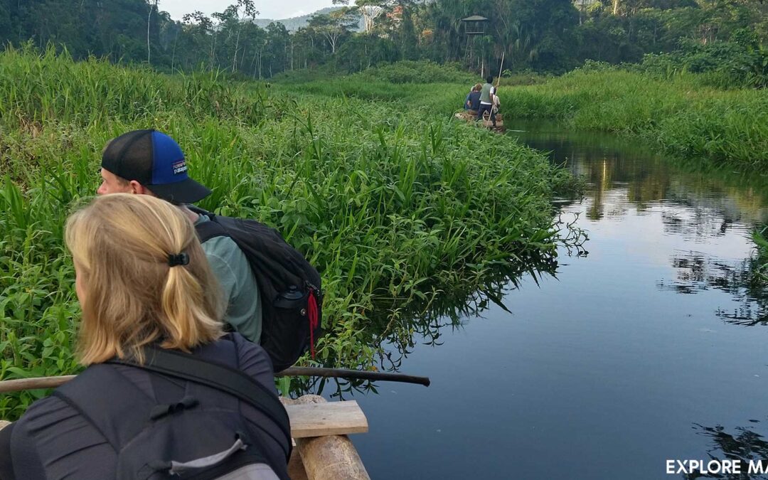 Tour:  Diferencia de Tambopata vs Manu